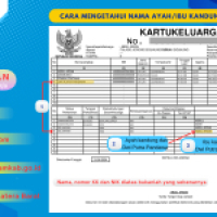 CARA MENGETAHUI NAMA ayah/IBU KANDUNG DI KARTU KELUARGA